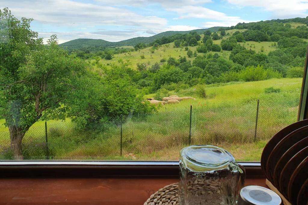 Luxury Villa Bella Lyaskovo Village Екстериор снимка